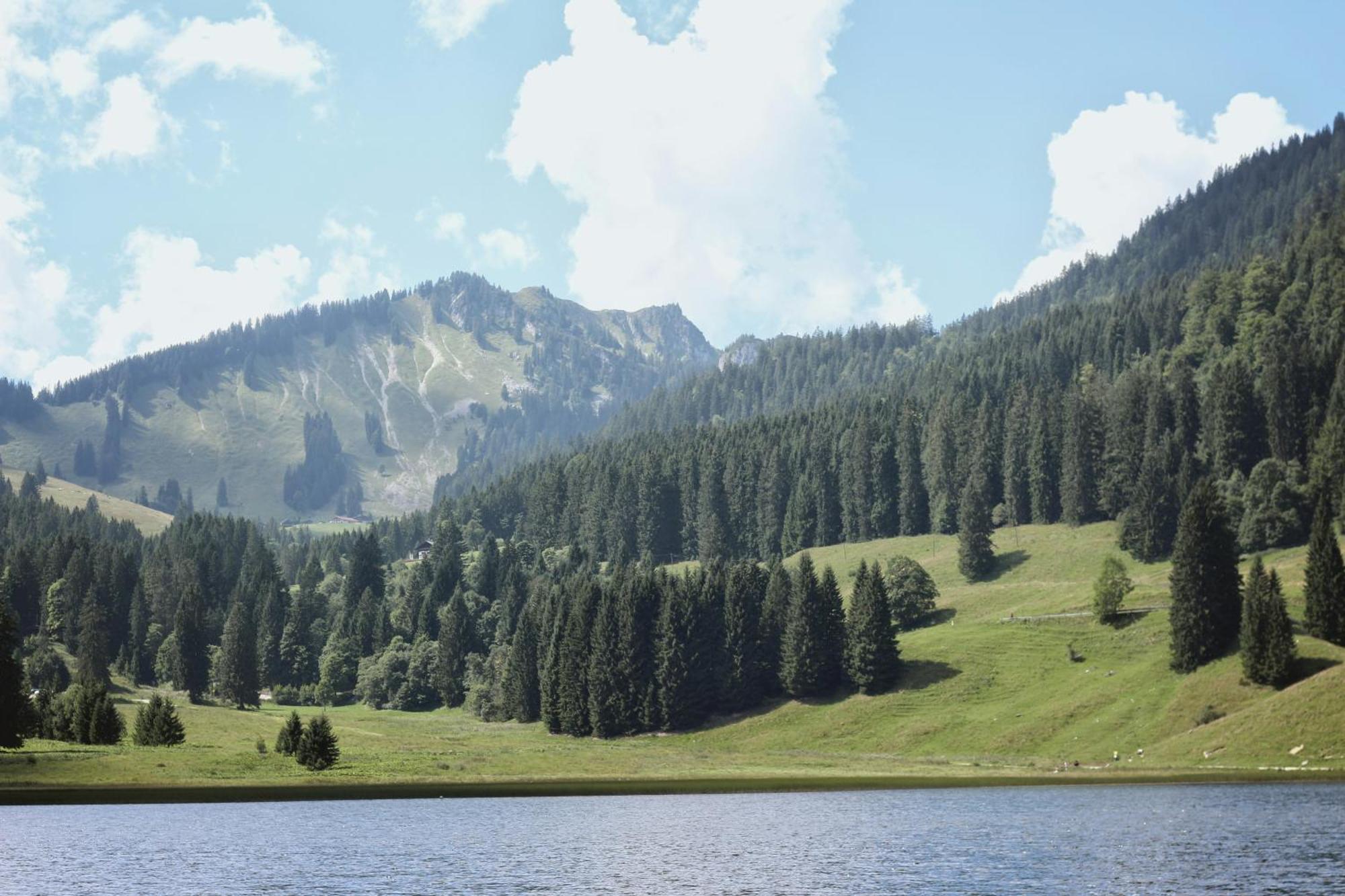 Ferienwohnung "Seeruhe" - Berge, See Und Natur Am Spitzingsee Schliersee Zewnętrze zdjęcie
